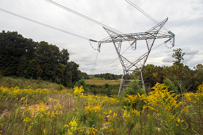Contact a Transmission and Distribution Specialist Today